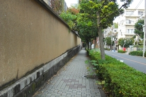 ���嗴����e