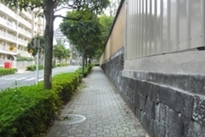 ���嗴����e