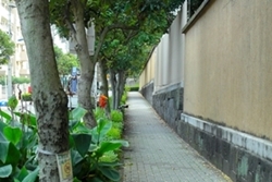 ���嗴����e