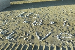 �����������߂����ƃ��[�g