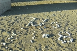 �����������߂����ƃ��[�g