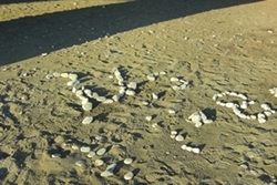 �����������߂����ƃ��[�g