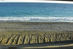 �����������߂����ƃ��[�g