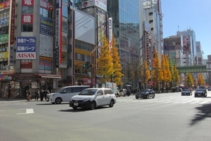 �x���T�[���H�t��