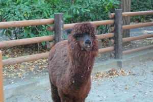 �����������߂����ƃ��[�g