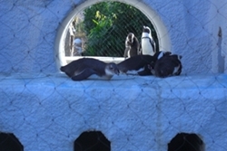 �����������߂����ƃ��[�g