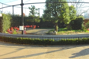 �����������߂����ƃ��[�g