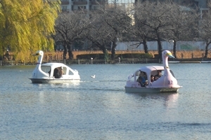 �����������߂����ƃ��[�g