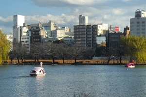 �����������߂����ƃ��[�g