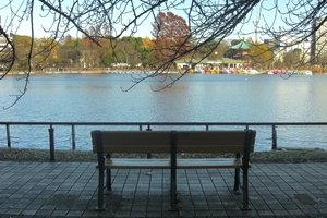 �����������߂����ƃ��[�g