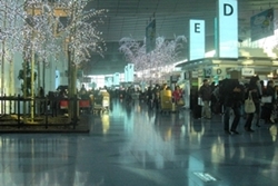 ���Ƃ藯�w���[�g