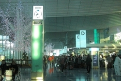 ���Ƃ藯�w���[�g