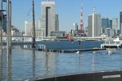 ラブライブ!本選会場