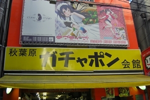 ことり脱出ルート