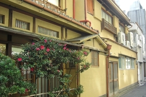 ��ނ�u�|�ނ�v