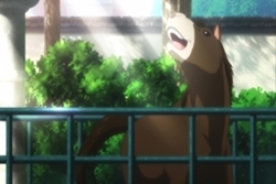 神田明神 参道 境内