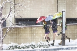 みんなで作った道ルート