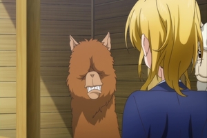 �����������߂����ƃ��[�g